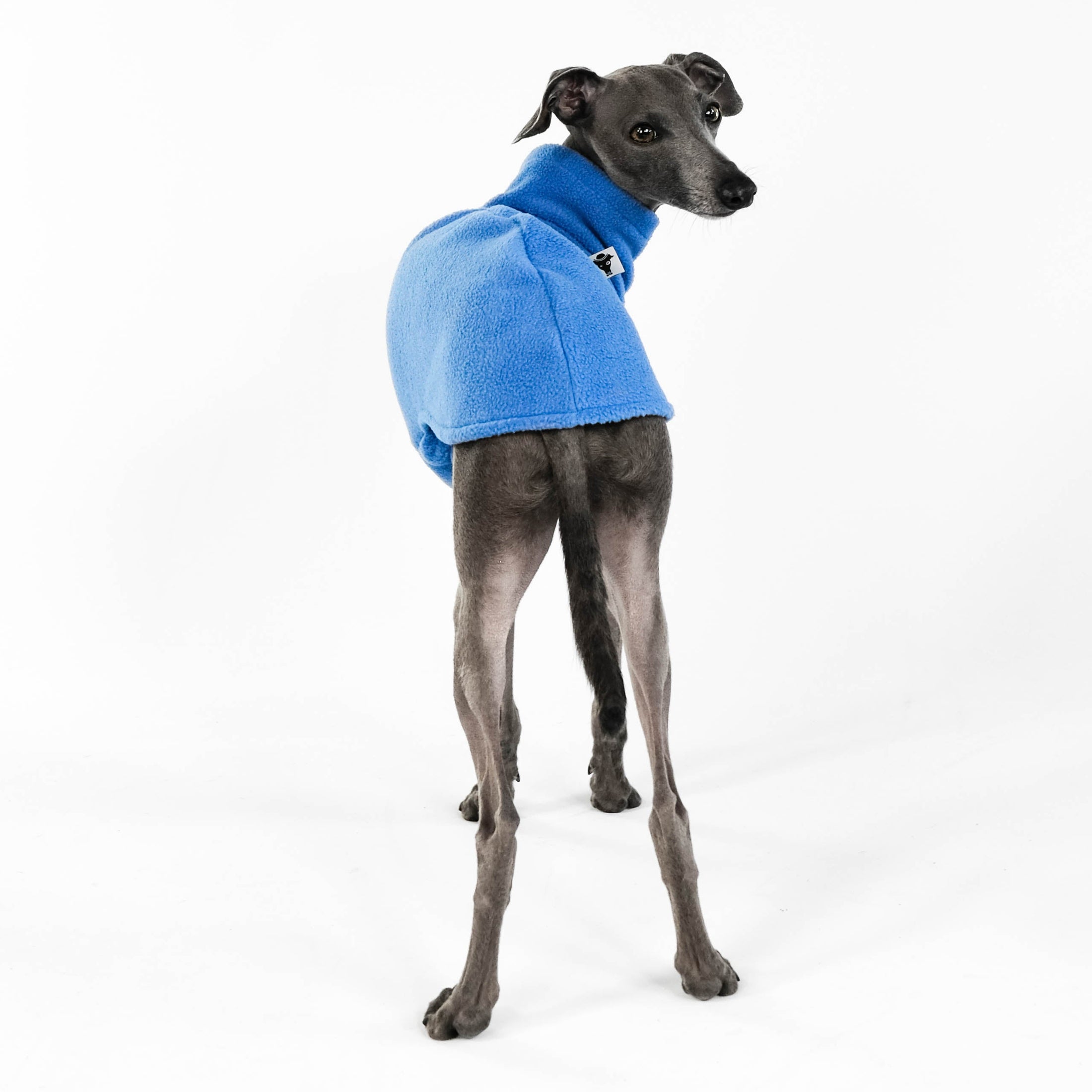 IG Long Shirt Fleece Sky Blue