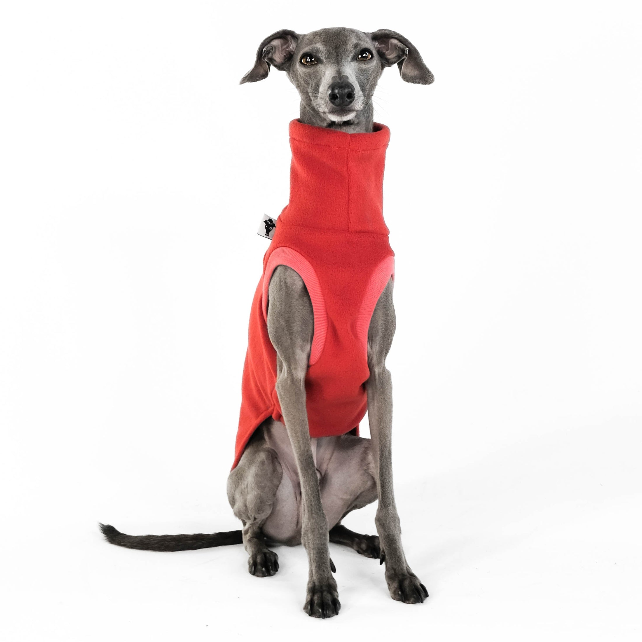 Windspiel Shirt Fleece Terracotta