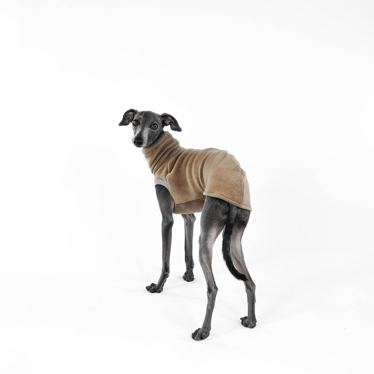 Fleece Shirt Iggy OUTLET Taupe