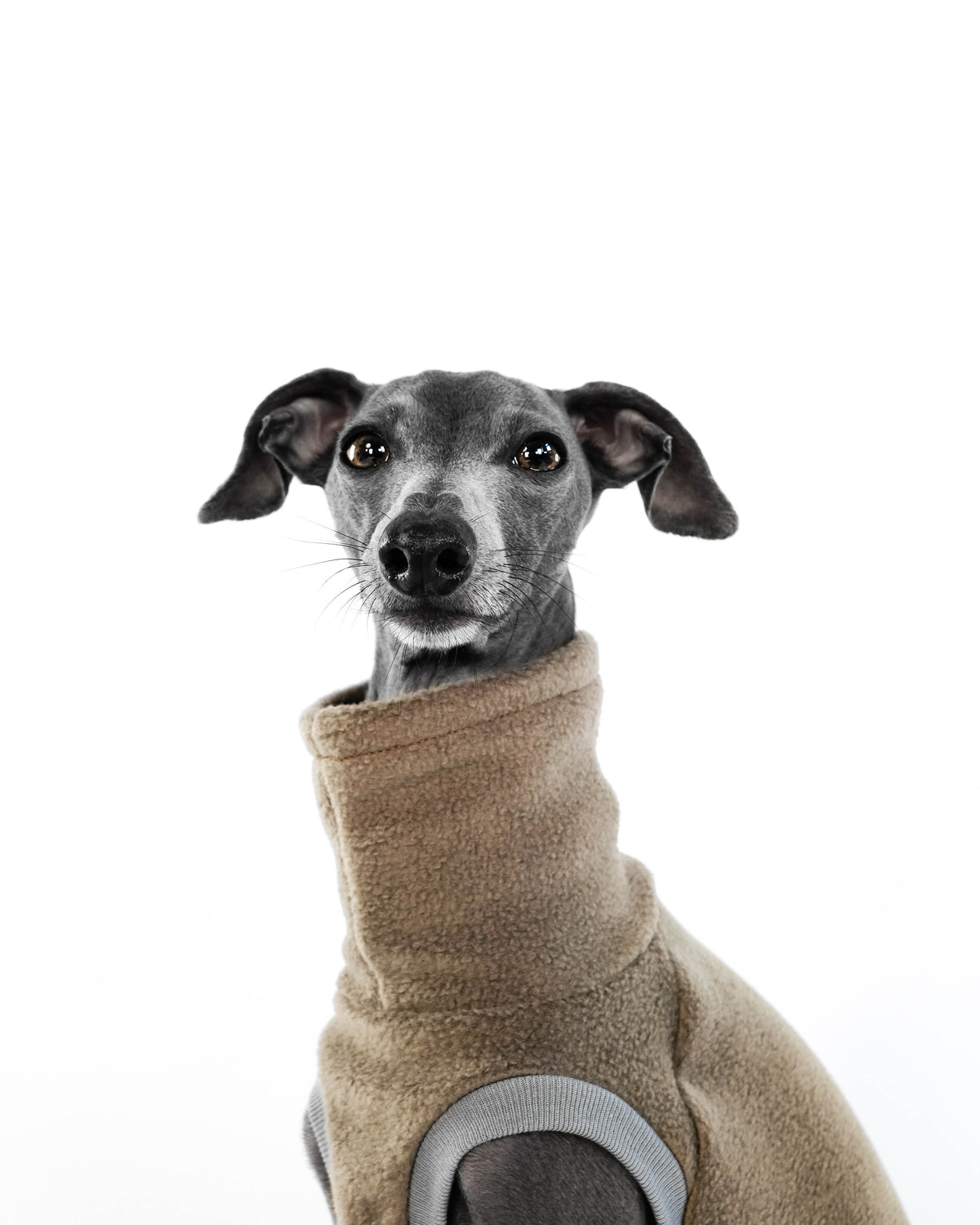 Fleece Shirt Iggy OUTLET Taupe