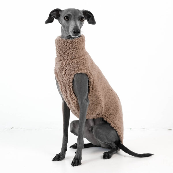 italian greyhound teddy clothing