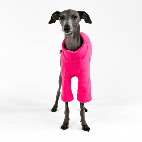 Italian Greyhound Pullover Magenta