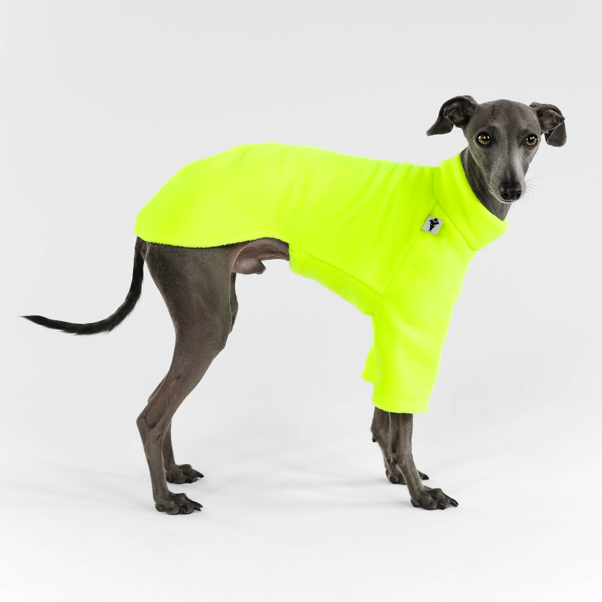 Windspiel Pullover Neon Yellow