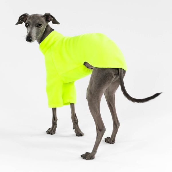 Windspiel Pullover Neon