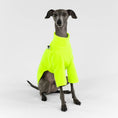 Bild in Galerie-Betrachter laden, IG Pullover Fleece Neon Yellow
