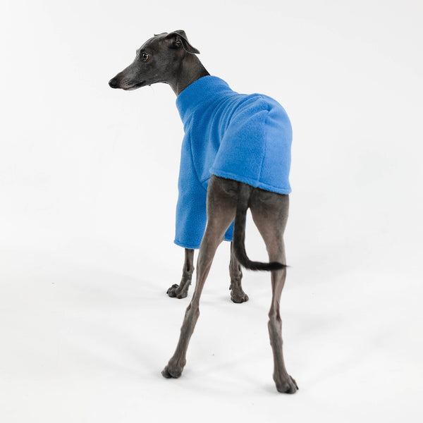 Italian Greyhound Pullover in Sky Blue