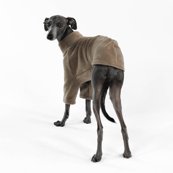 Italian Greyhound Walnut Pullover