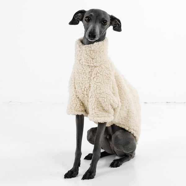 Italian Greyhound Pullover