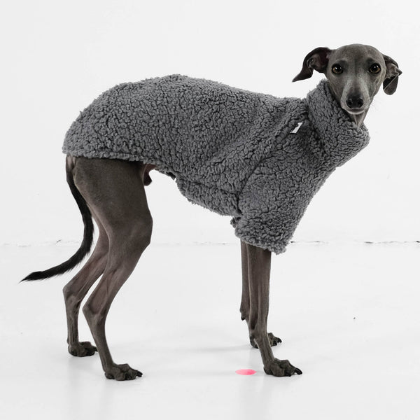 Italian Greyhound Pullover