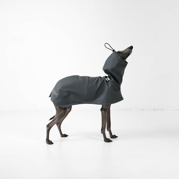 Raincoat for dogs