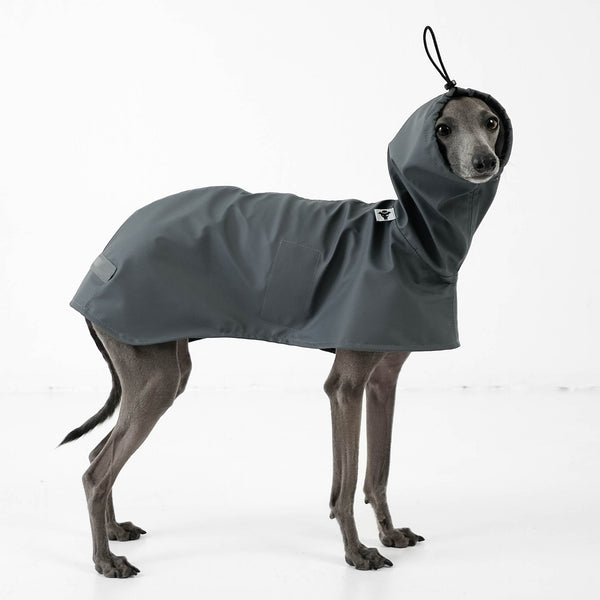 Rain Coat for Iggy