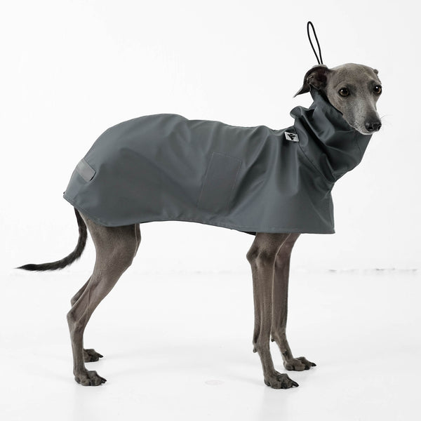 Iggy Rain coat