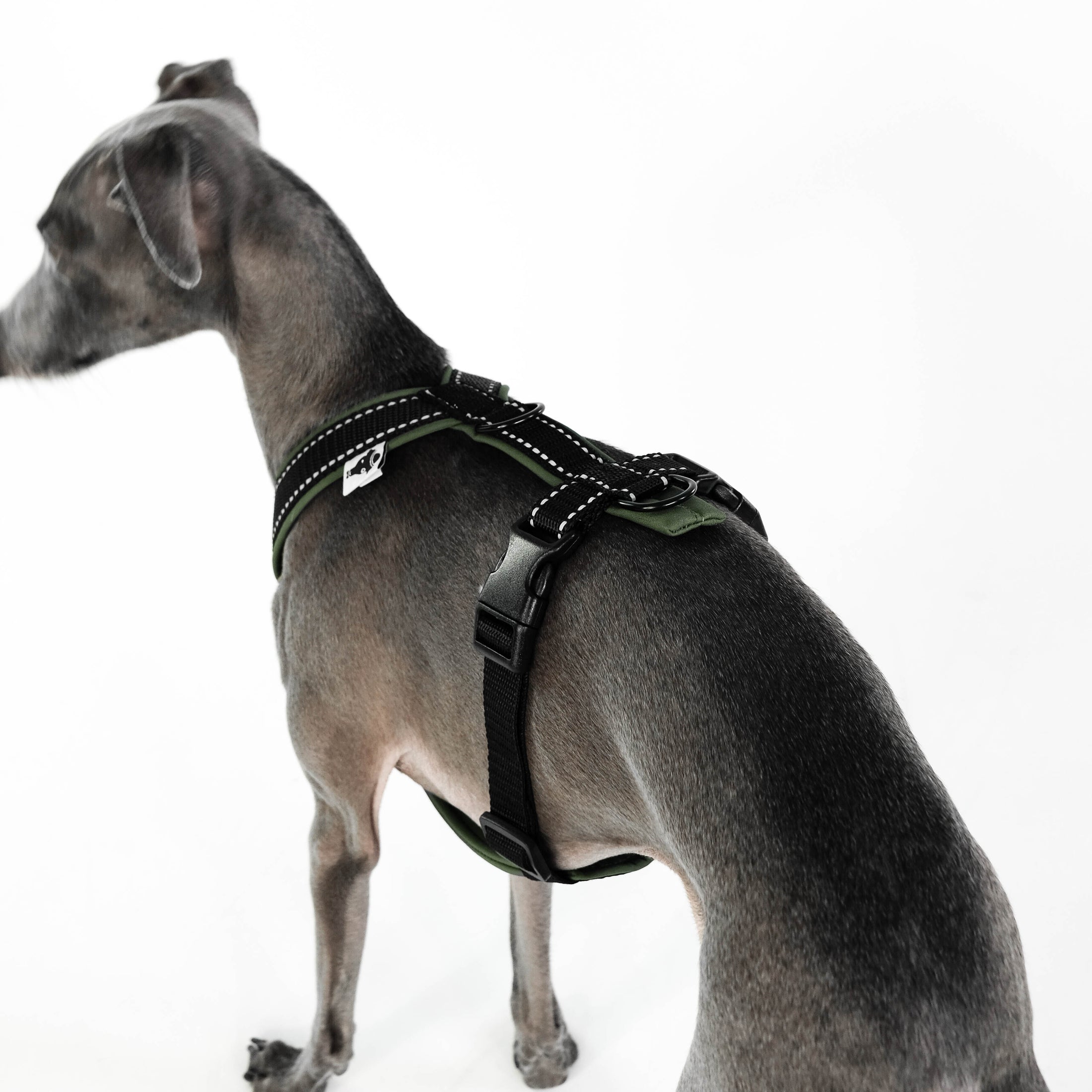 IG Softshell Geschirr Khaki