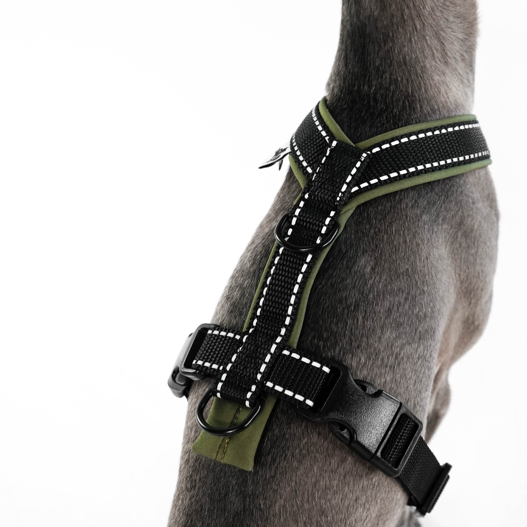 IG Softshell Geschirr Khaki