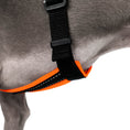 Bild in Galerie-Betrachter laden, IG Softshell Geschirr Neon Orange
