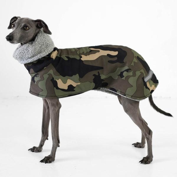 Italian Greyhound Wintercoat