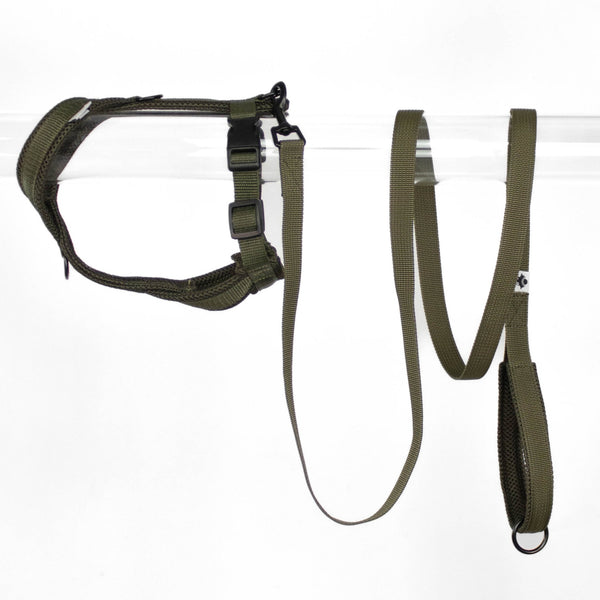 IG Harness and Leash Bundle