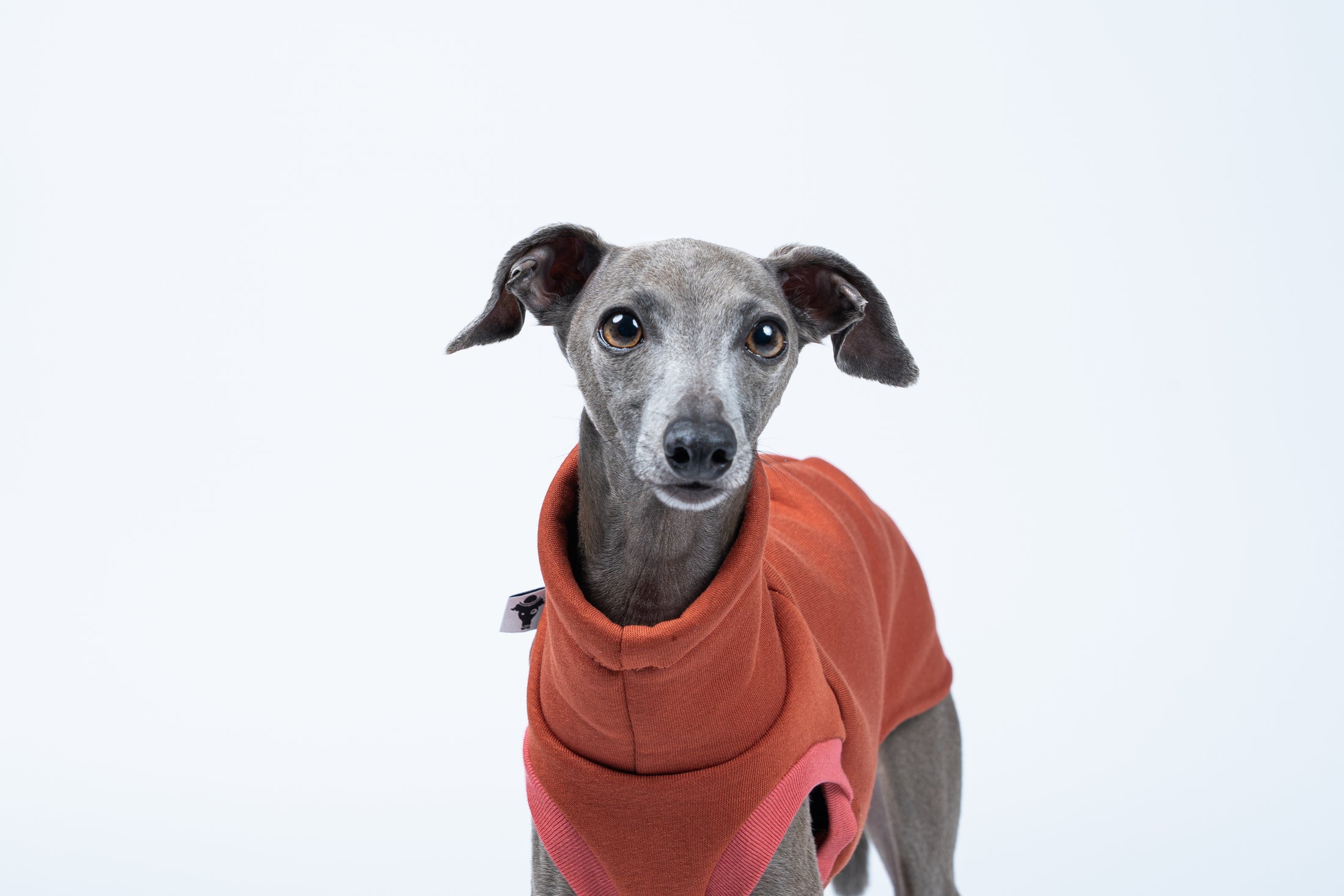 Körpernahes Sweat Shirt in Terracotta – Windspiel zeigt perfekte Passform in der Seitenansicht