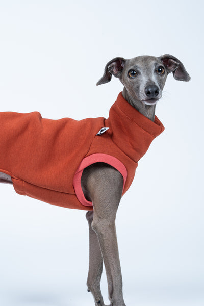 Seitenansicht: Sweat Shirt für Windspiele in Terracotta – optimal für lange, schmale Rücken