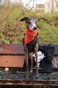 Bild in Galerie-Betrachter laden, Hundehalstuch OUTLET Brick Red
