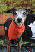 Bild in Galerie-Betrachter laden, Hundehalstuch OUTLET Brick Red
