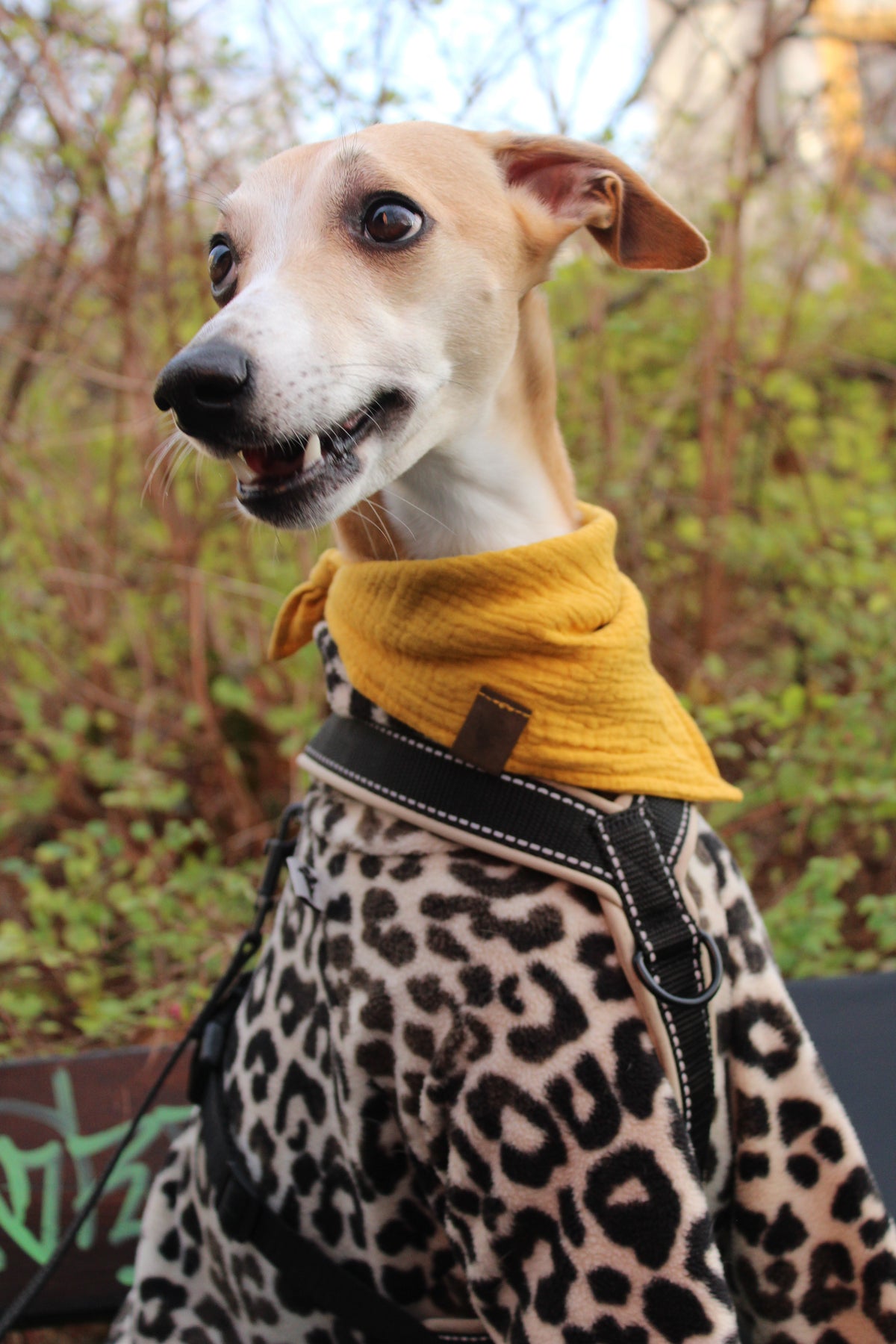 Hundehalstuch OUTLET Sunny Yellow