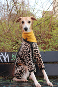 Bild in Galerie-Betrachter laden, Hundehalstuch OUTLET Sunny Yellow
