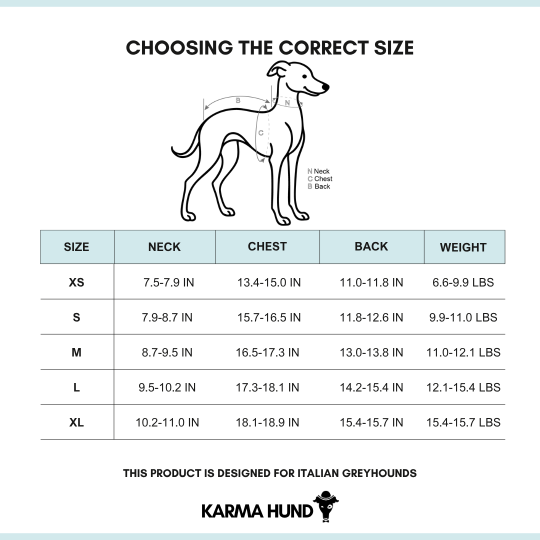 Iggy Clothing Size Chart English 2025