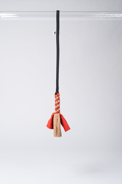 Bungee-Tau im Studio