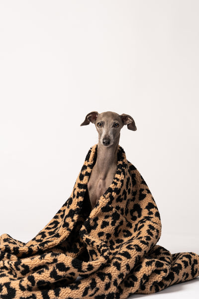 Karma Hund Schlafsack für kleine und mittelgroße Hunde zum Einkuscheln