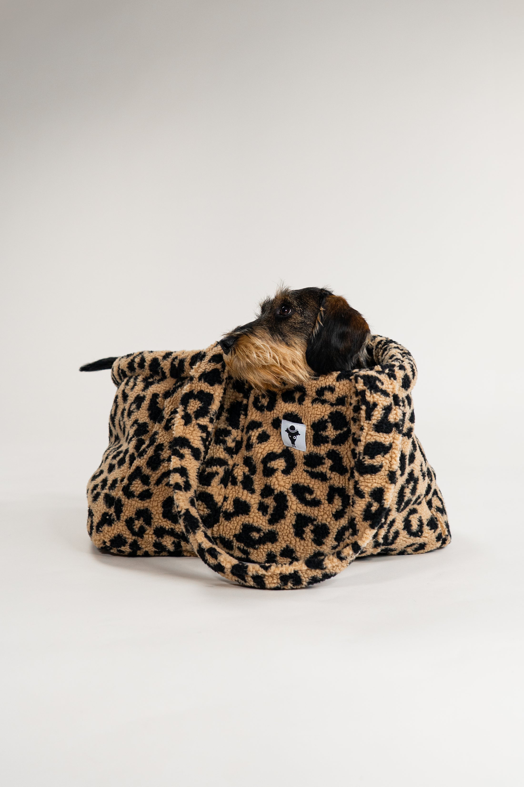 Teddy Shopper Dackel in Leo