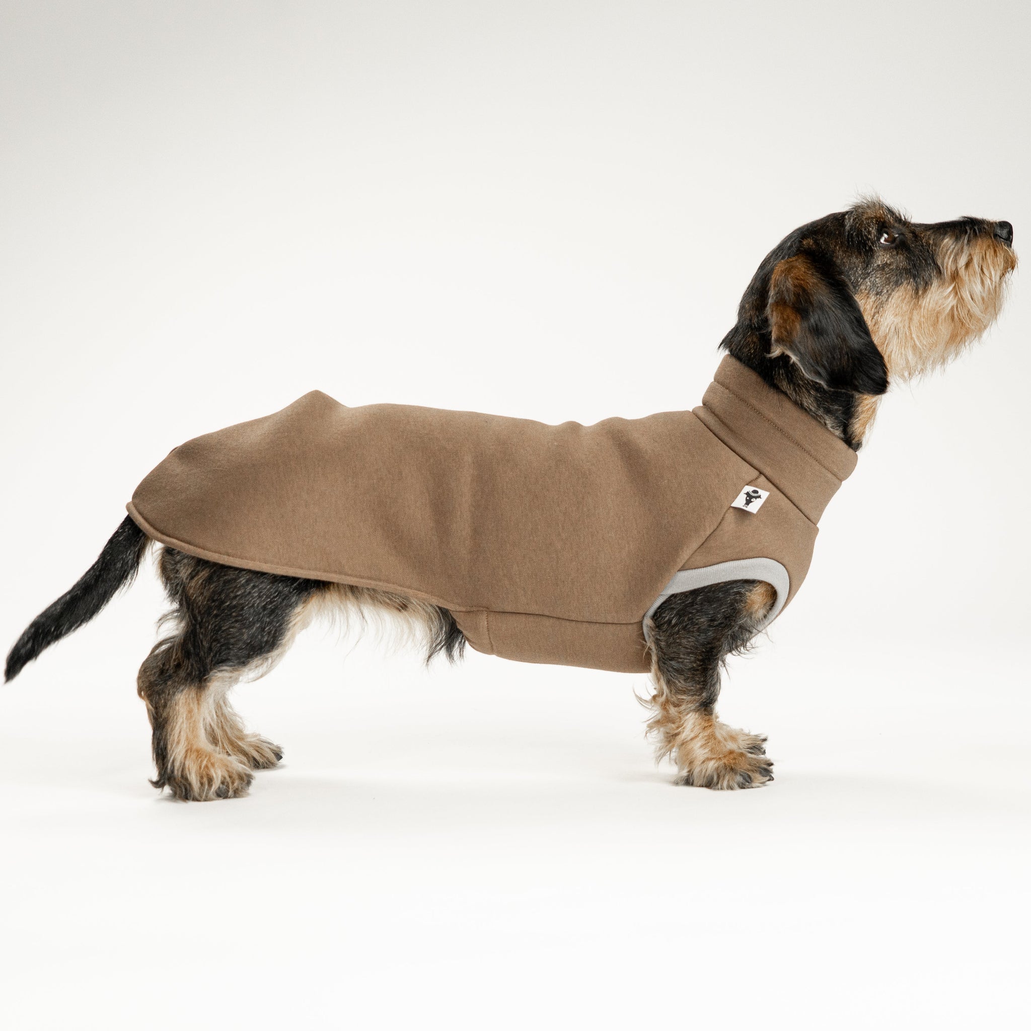 Dackel trägt ärmelloses Long Shirt aus weichem Baumwollfleece in Mokka, ideal für kühle Spaziergänge.