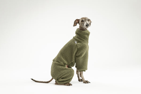 Warmer Hundebegleiter: dunkeloliver Teddy-Overall für Italienische Windspiele