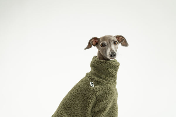 Italienisches Windspiel im Dark Olive Overall mit perfekter Passform