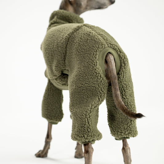Hundebekleidung für Windspiele: Teddy-Overall in Dark Olive, stylisch & praktisch