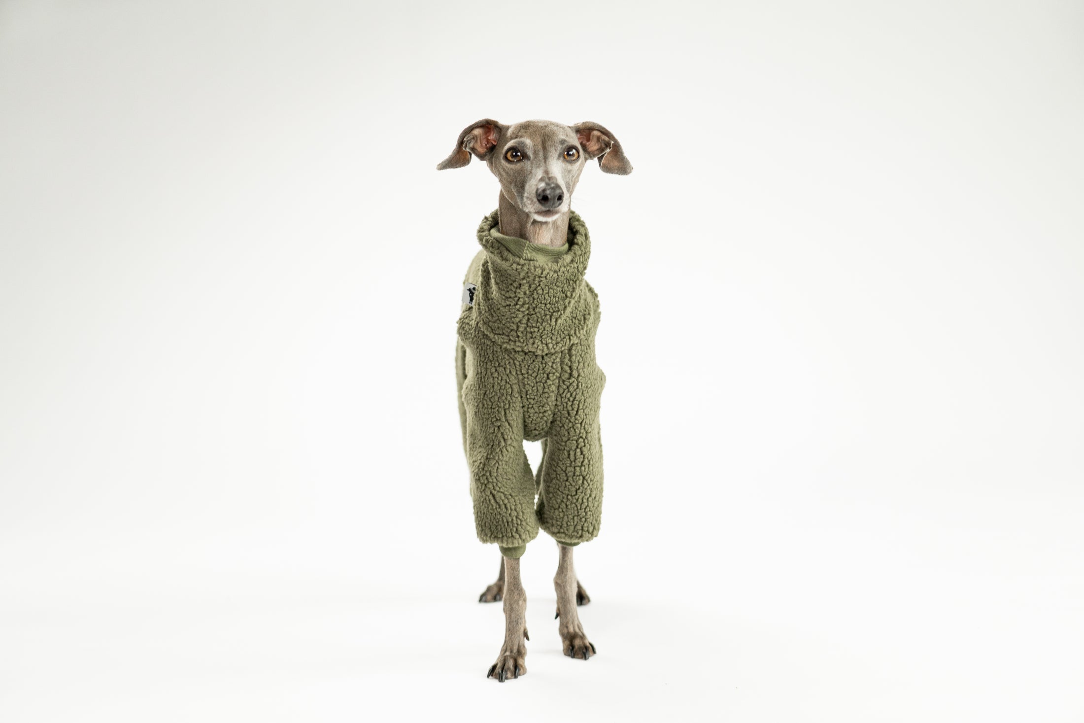 Dunkeloliver Teddy-Overall für Windspiele – rundum warm und bequem