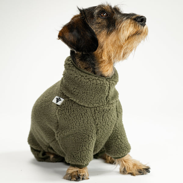 Dackel trägt Teddy-Overall in Dark Olive – handgemacht in Berlin