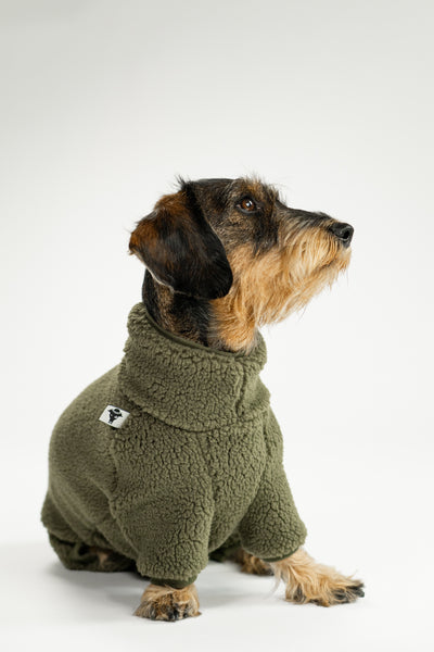 Dackel trägt Overall in Dark Olive aus weichem Teddy-Material