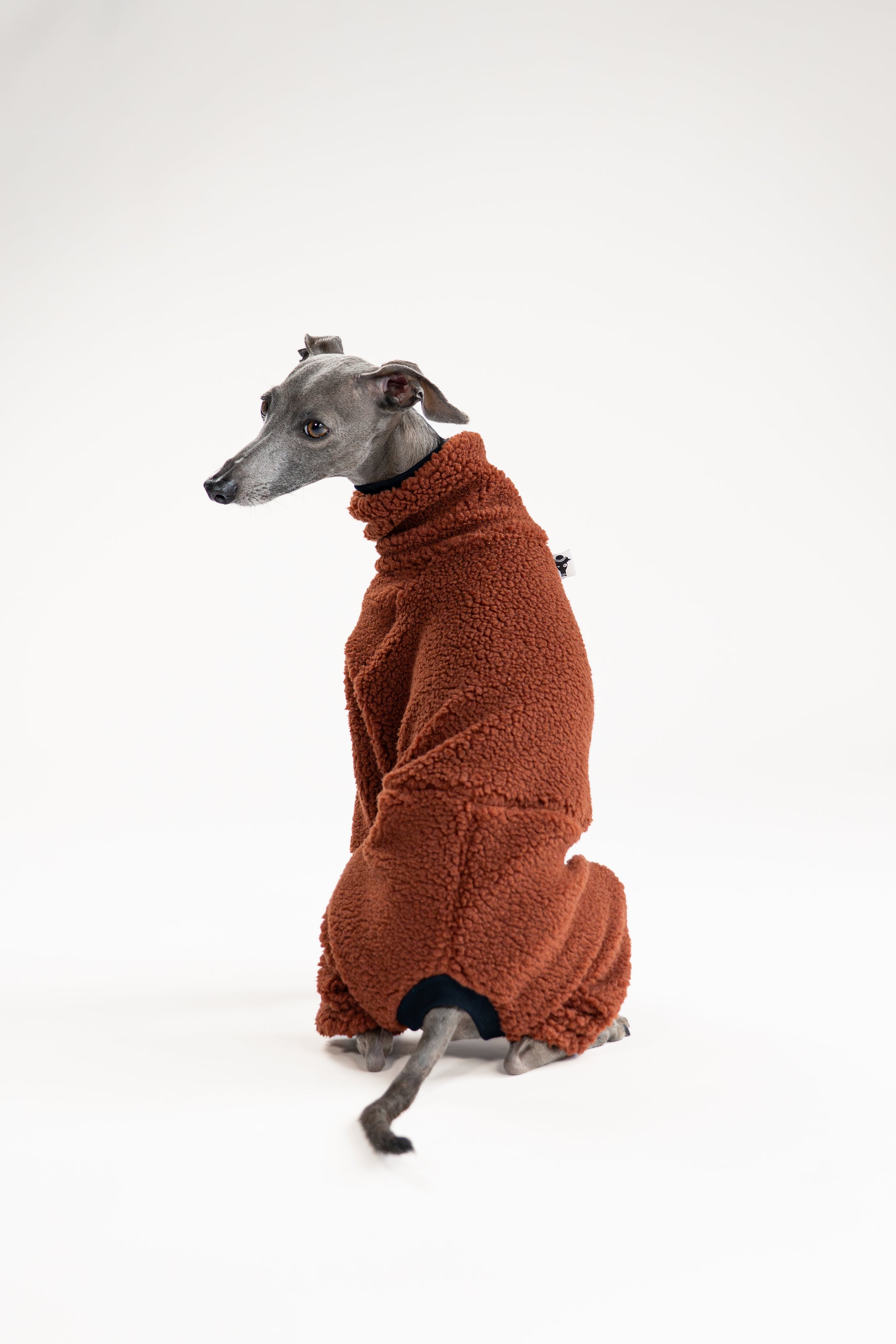 Windspiel im braunen Overall aus kuscheligem Teddy-Stoff beim Spaziergang