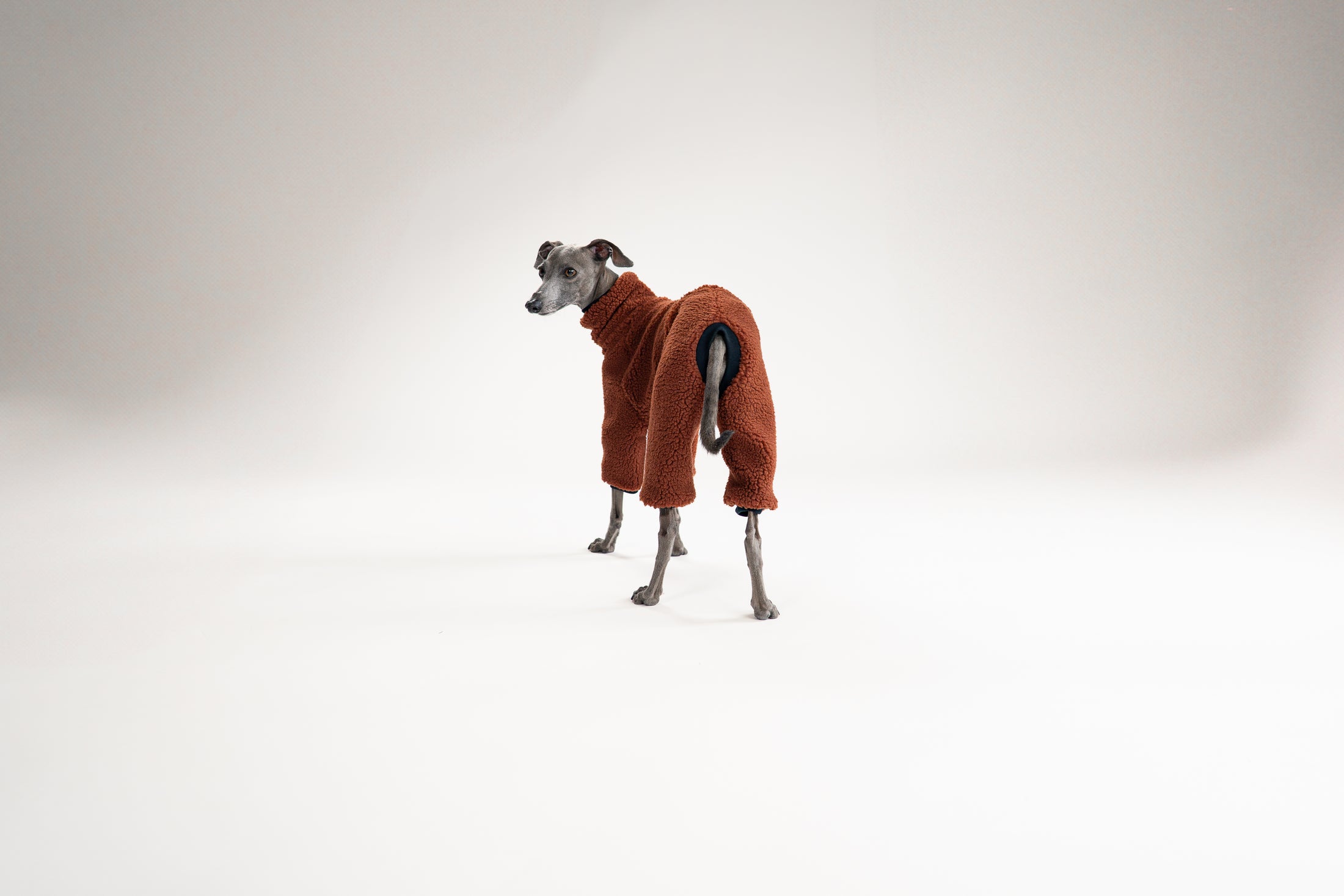 Teddy-Overall in Braun für Windspiele – Schutz vor Kälte und Wind