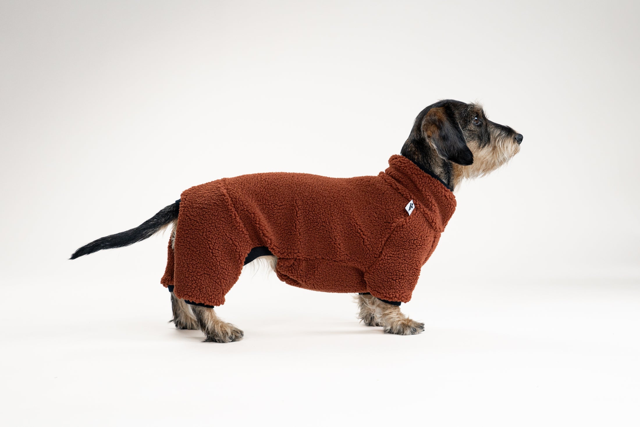Rundum-Schutz: Dackel-Overall in Braun, gefertigt aus kuscheligem Teddy