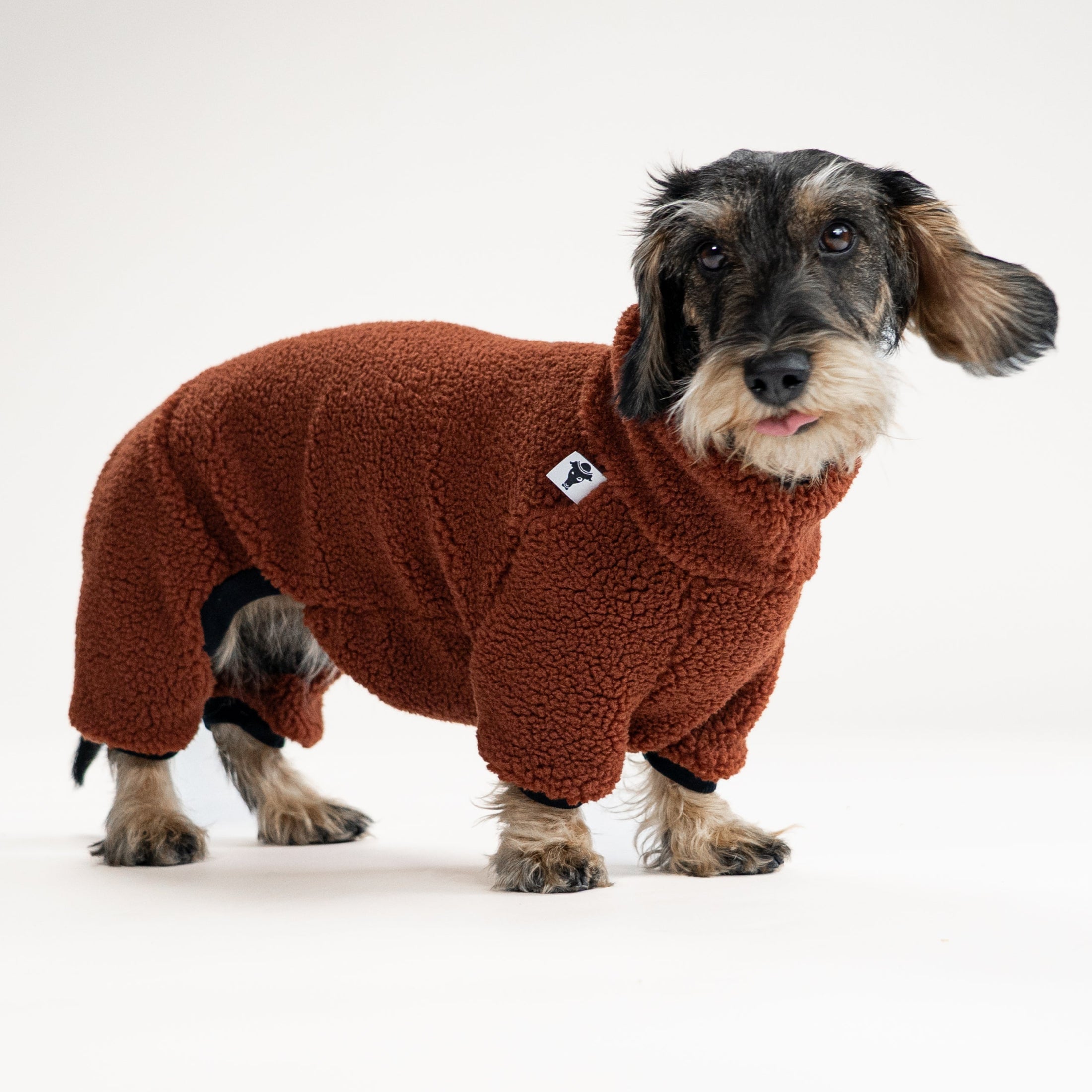 Dackel trägt braunen Teddy Overall im Winterspaziergang