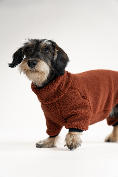 Warmer Hundebegleiter: brauner Teddy-Overall für Dackel
