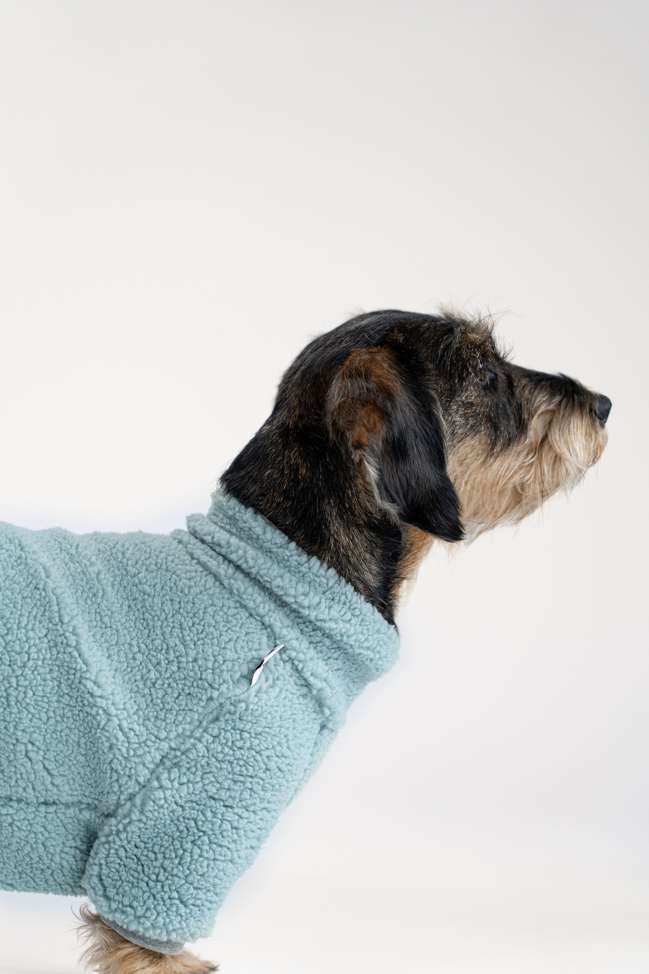 Leichter Winteroverall für Dackel in Mintgrün