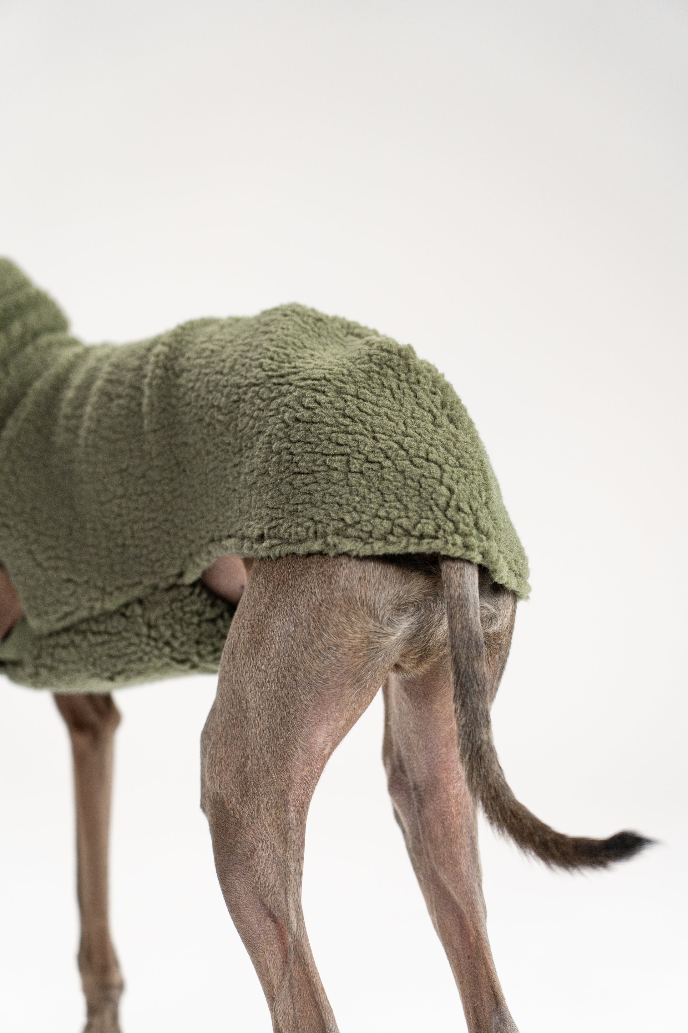 Hundemode für Windspiele: Long Shirt in Dark Olive, handgefertigt aus Teddy-Stoff