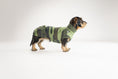 Bild in Galerie-Betrachter laden, Camouflage Long Shirt aus Fleece an Rauhaar Dackel
