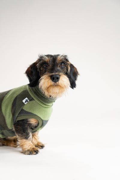 Rauhaar Dackel in handgemachten Fleece Long Shirt von Karma Hund
