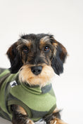 Bild in Galerie-Betrachter laden, Detailansicht Rauhaar Dackel in Fleece Long Shirt Camouflage
