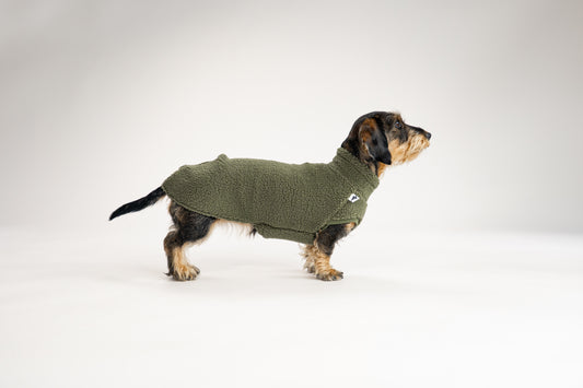 Teddy Shirt Dackel Dark Olive – Hundepullover und Hundekleidung für Dackel und Windhunde – Seitenansicht am Hund