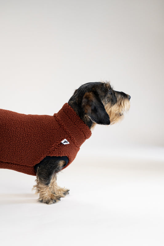 Teddy Shirt Dackel Brown – Hundepullover und Hundekleidung für Dackel und Windhunde – Seitenansicht am Hund